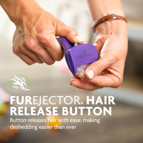 FURminator large cat shedding solution—reduces loose hair with regular use.