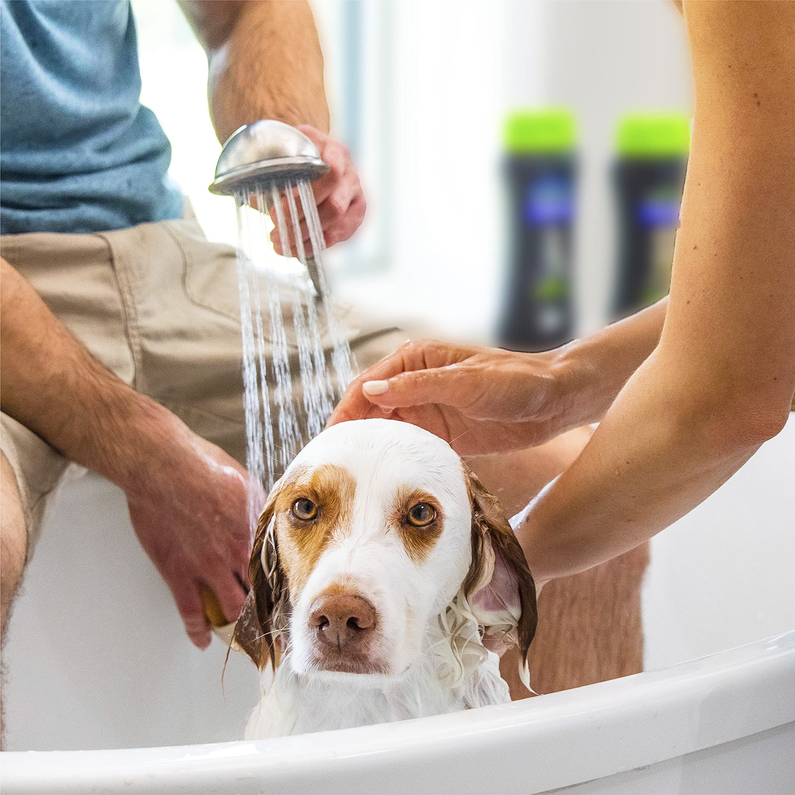 FURminator shampoo lather action on dog fur during wash