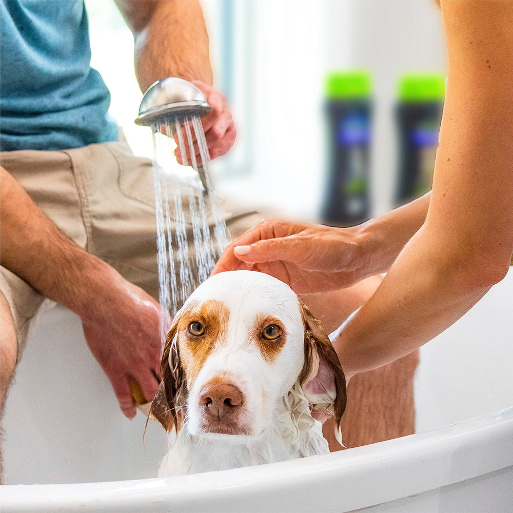 FURminator shampoo lather action on dog fur during wash