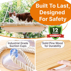 Furrfinity suction cups grip window for secure heavy-cat support