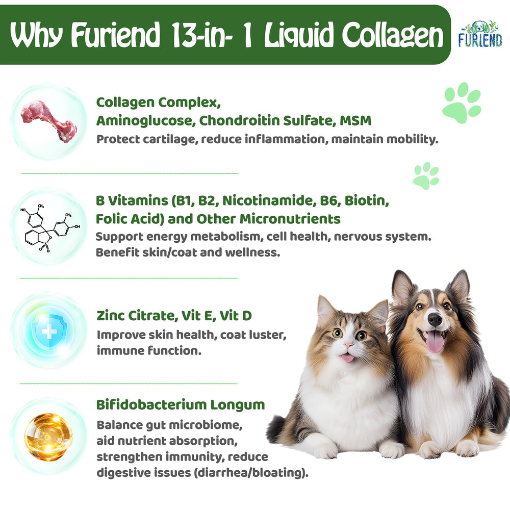 FURIEND 2 ml dosing dropper enables precise daily servings for pets.