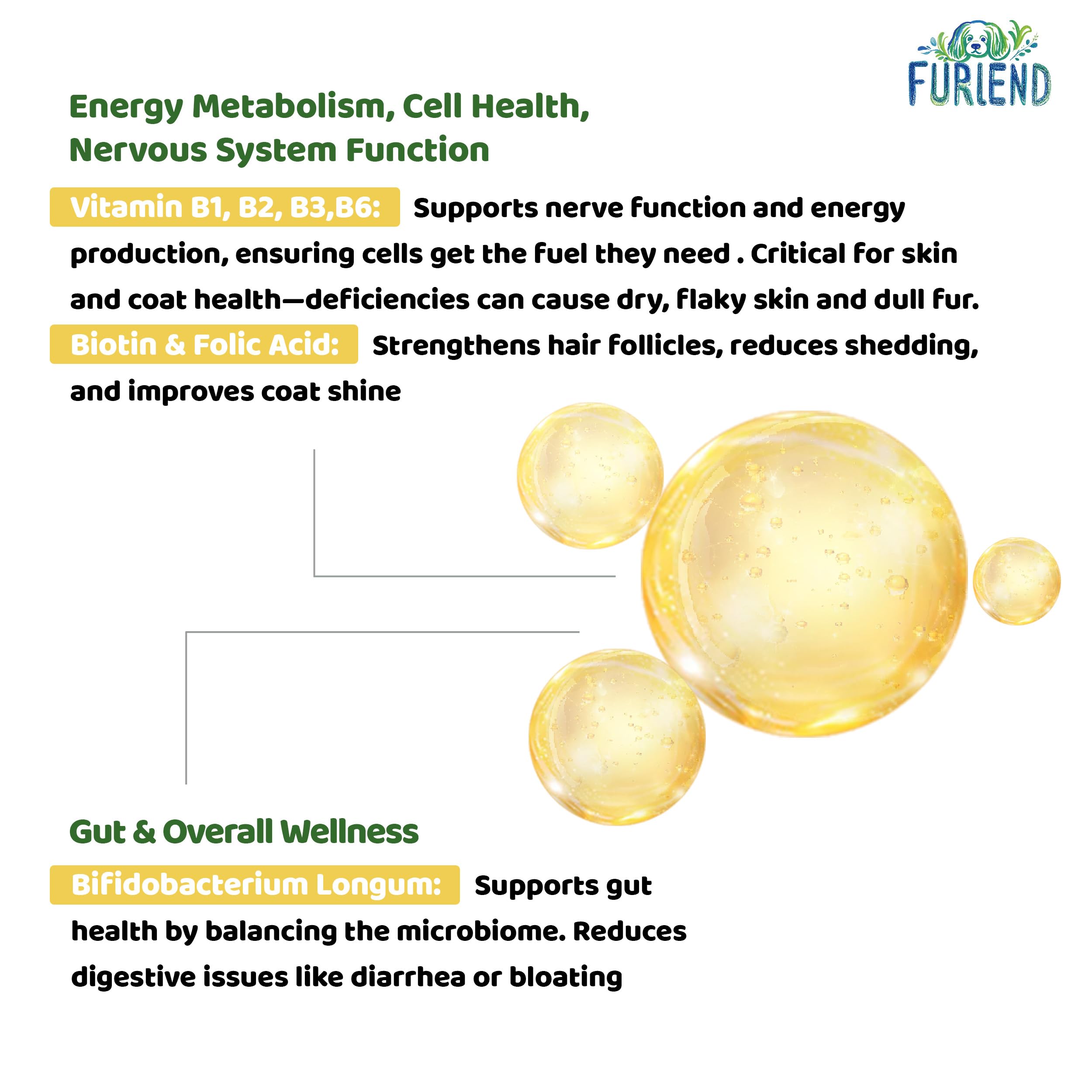 FURIEND immune-digestive balance image highlights probiotic and vitamin support.