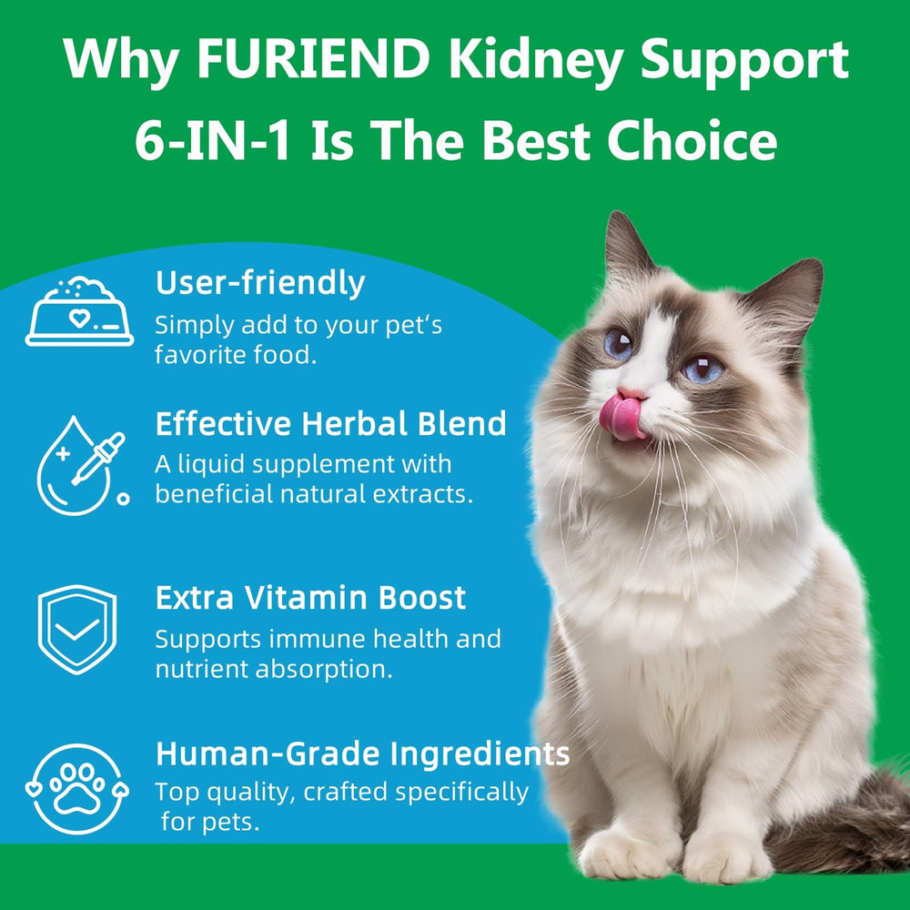 FURIEND vitamin-b-complex-energy-boost photo suggests increased vitality for seniors.