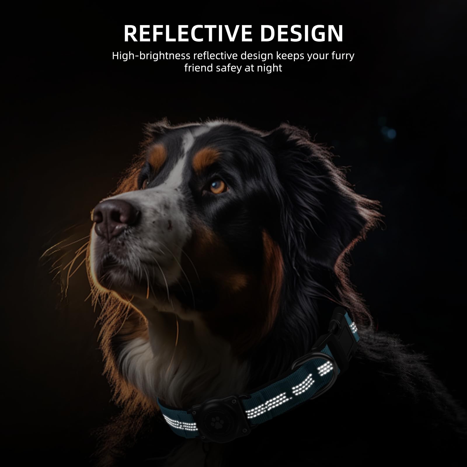 Furrigo AirTag dog collar blue reflective stitching closeup for nighttime safety