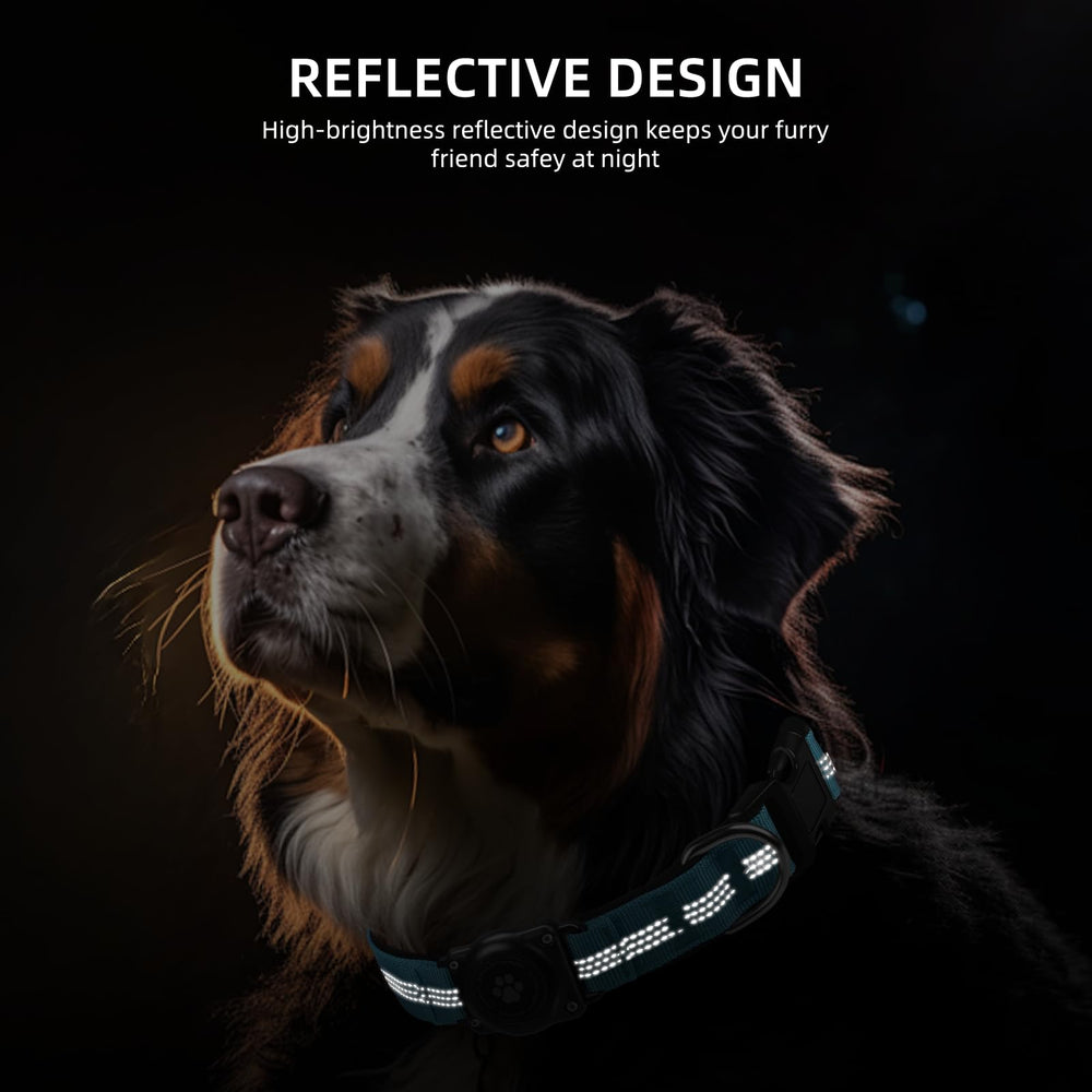 Furrigo AirTag dog collar blue reflective stitching closeup for nighttime safety