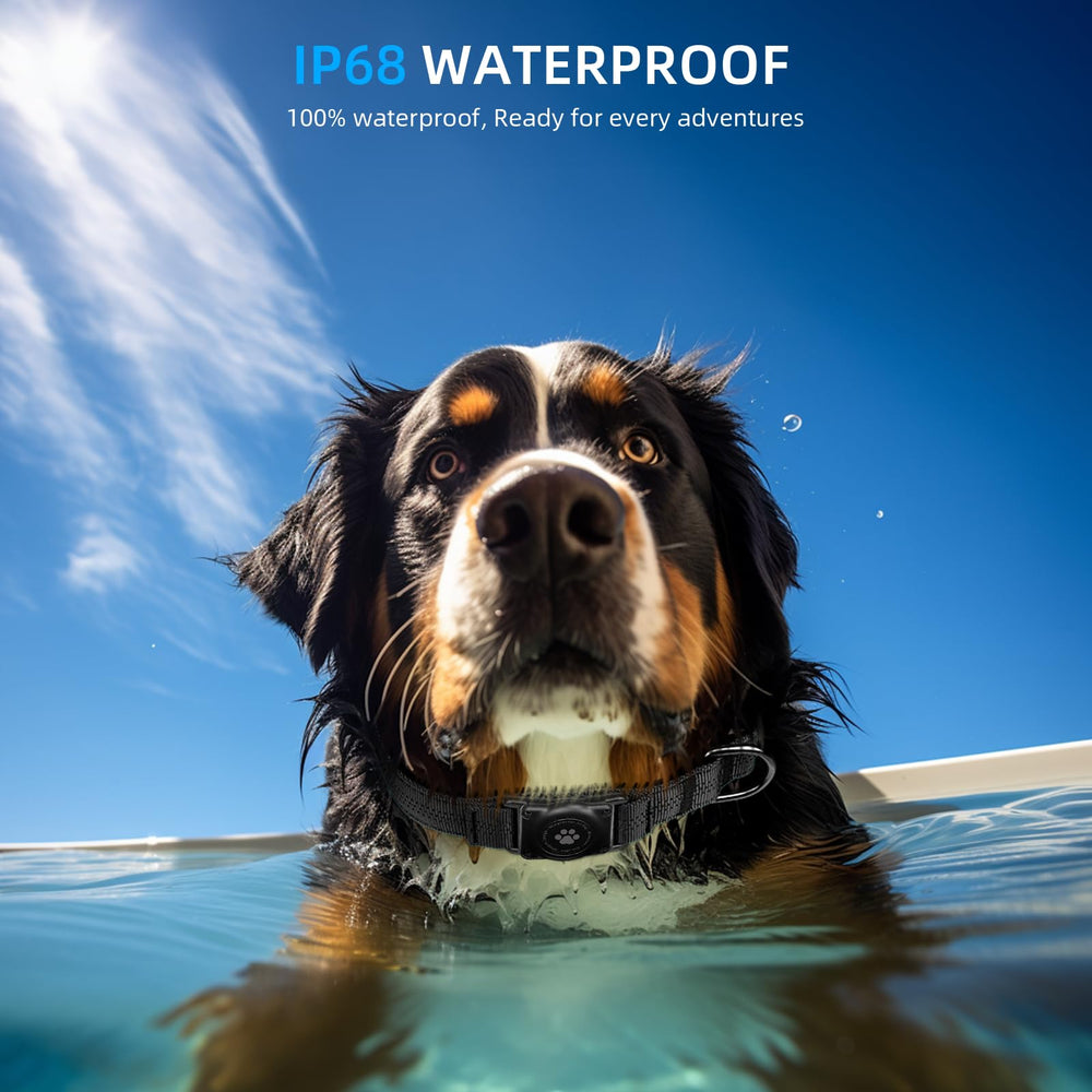 Furrigo AirTag dog collar waterproof and dustproof for all-weather adventures.