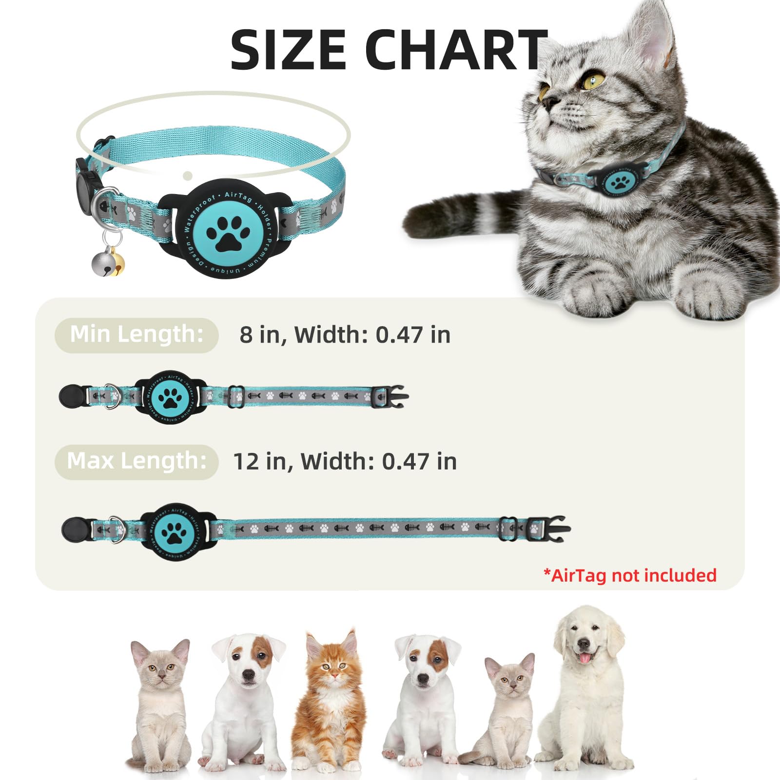 Teal-colored collar with lightweight design suited for kittens.