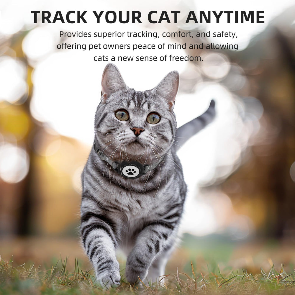 Furrigo reflective AirTag cat collar at night improves visibility during evening strolls.
