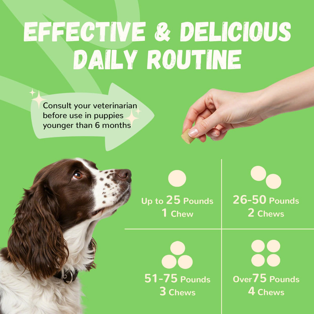 Furrolika Probiotics for Dogs 60 soft chews for daily use