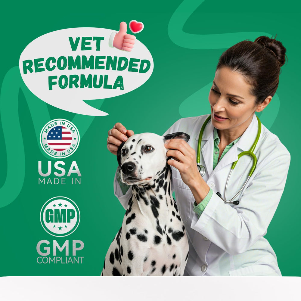 Furrolika Probiotics for Dogs serving suggestion beside a bowl