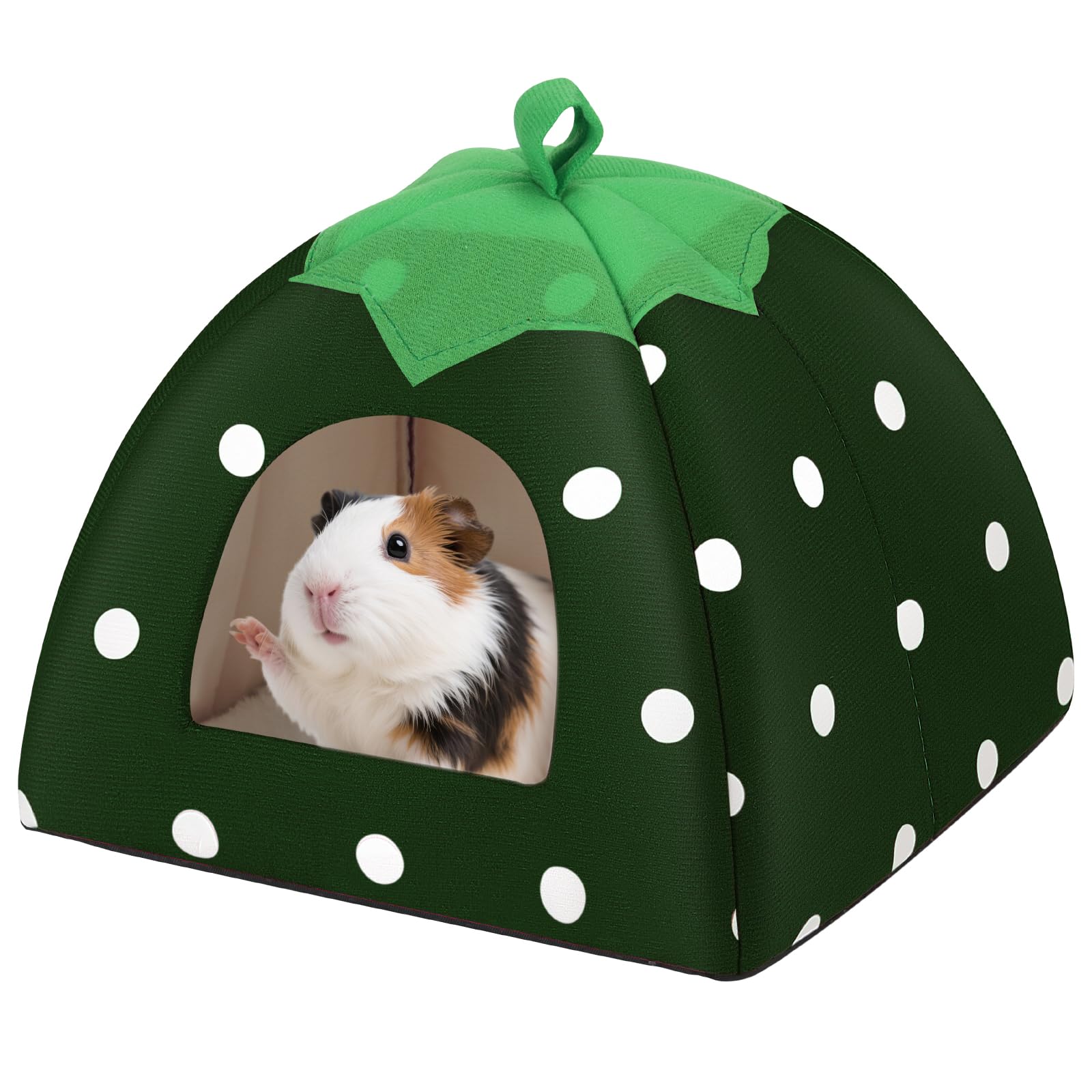 FurrTales Guinea Pig Hideout with soft plush for cozy resting
