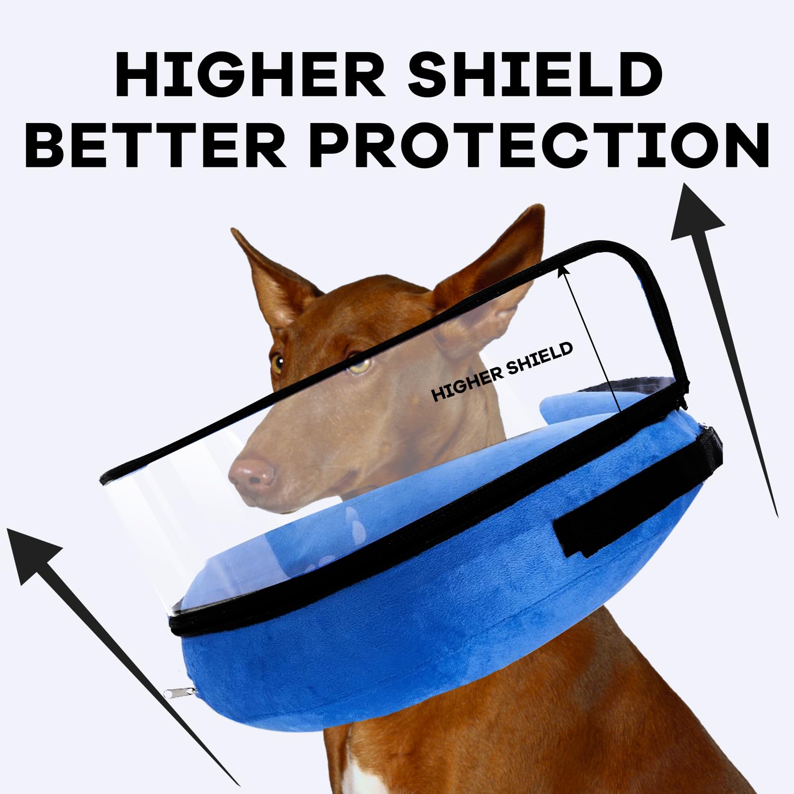 Furrtripsy inflatable dog cone blue XL in-use with treats to ease transition