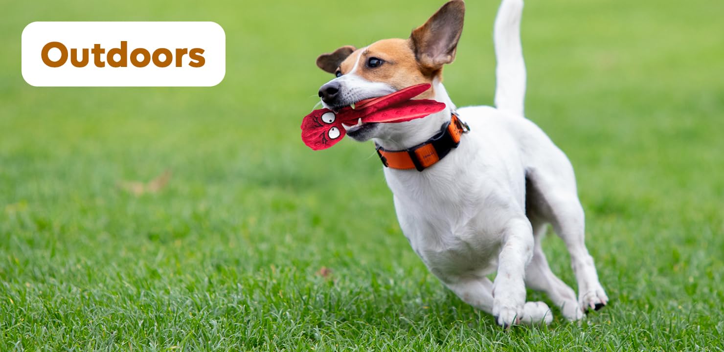 Furry Friends Haven durable plush travels well for outdoor fetch sessions