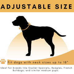 Furry Whisper adjustable neckband fits medium to large dogs for secure wear