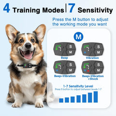 Furryastro bark collar showing anti-false-activation feature for precise training