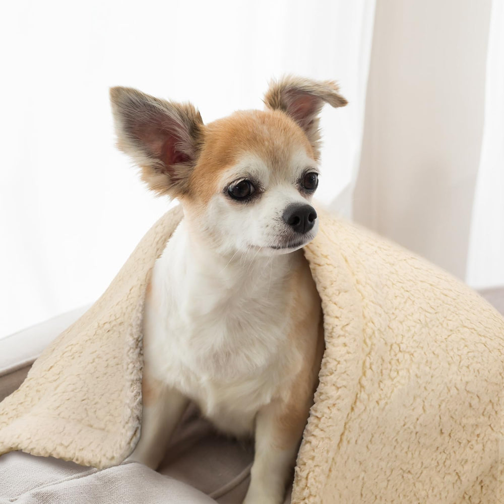 furrybaby blanket care low heat dry safe for daily use