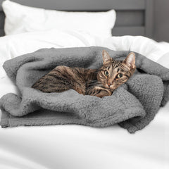 Furrybaby blanket-on-couch-use shown protecting furniture and inviting nap.