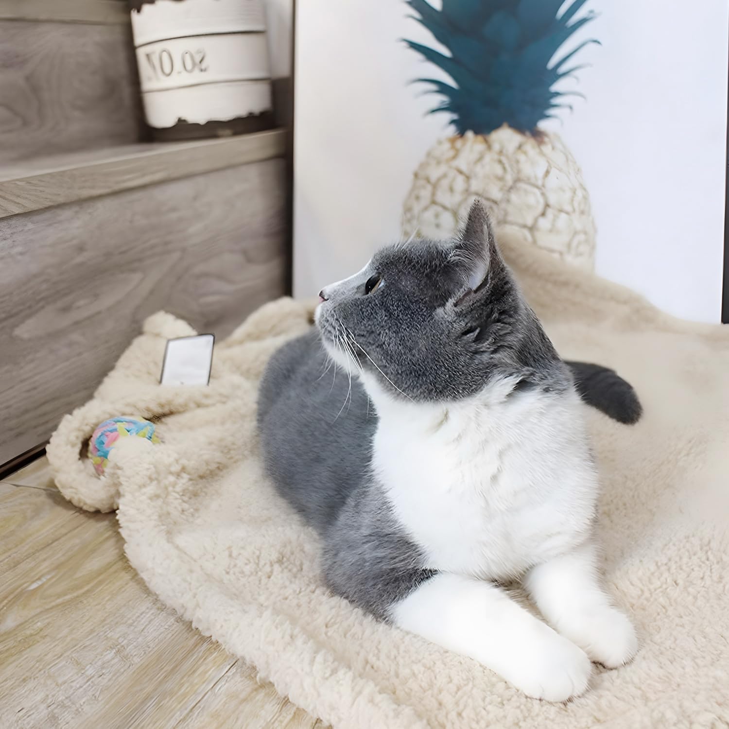 Furrybaby blanket on sofa protects furniture from fur and snags.