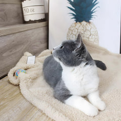 Furrybaby blanket on sofa protects furniture from fur and snags.