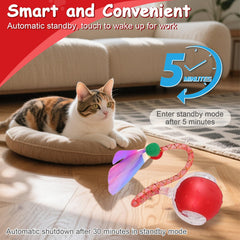 FurryJoy Interactive Ball 360° rolling covers multiple surfaces for versatile play