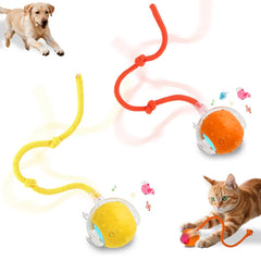 FurryJoy Interactive Smart Ball Toy with bird sounds engages cats and dogs during indoor play