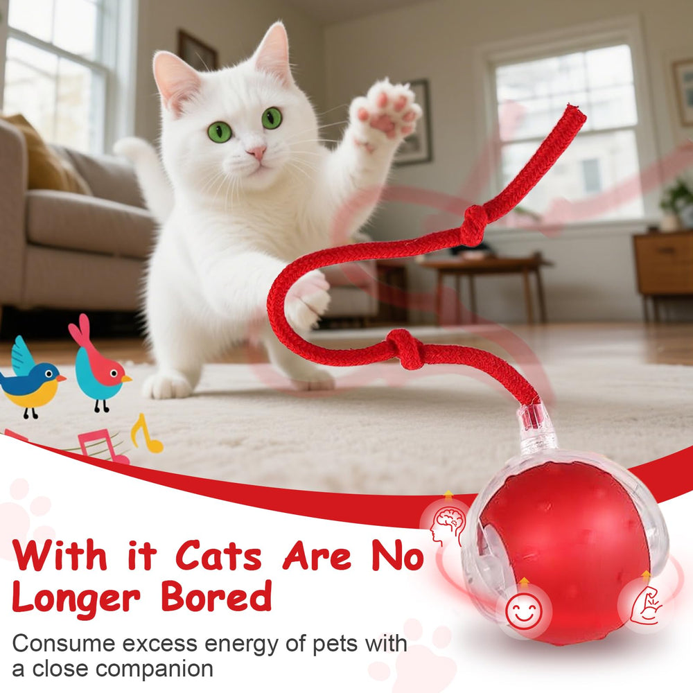 FurryJoy Interactive Smart Ball Toy LED trails attract attention for indoor exercise