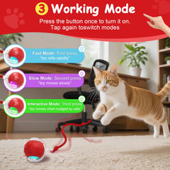 FurryJoy Interactive Ball Toy obstacle sensors enable safe navigation around furniture