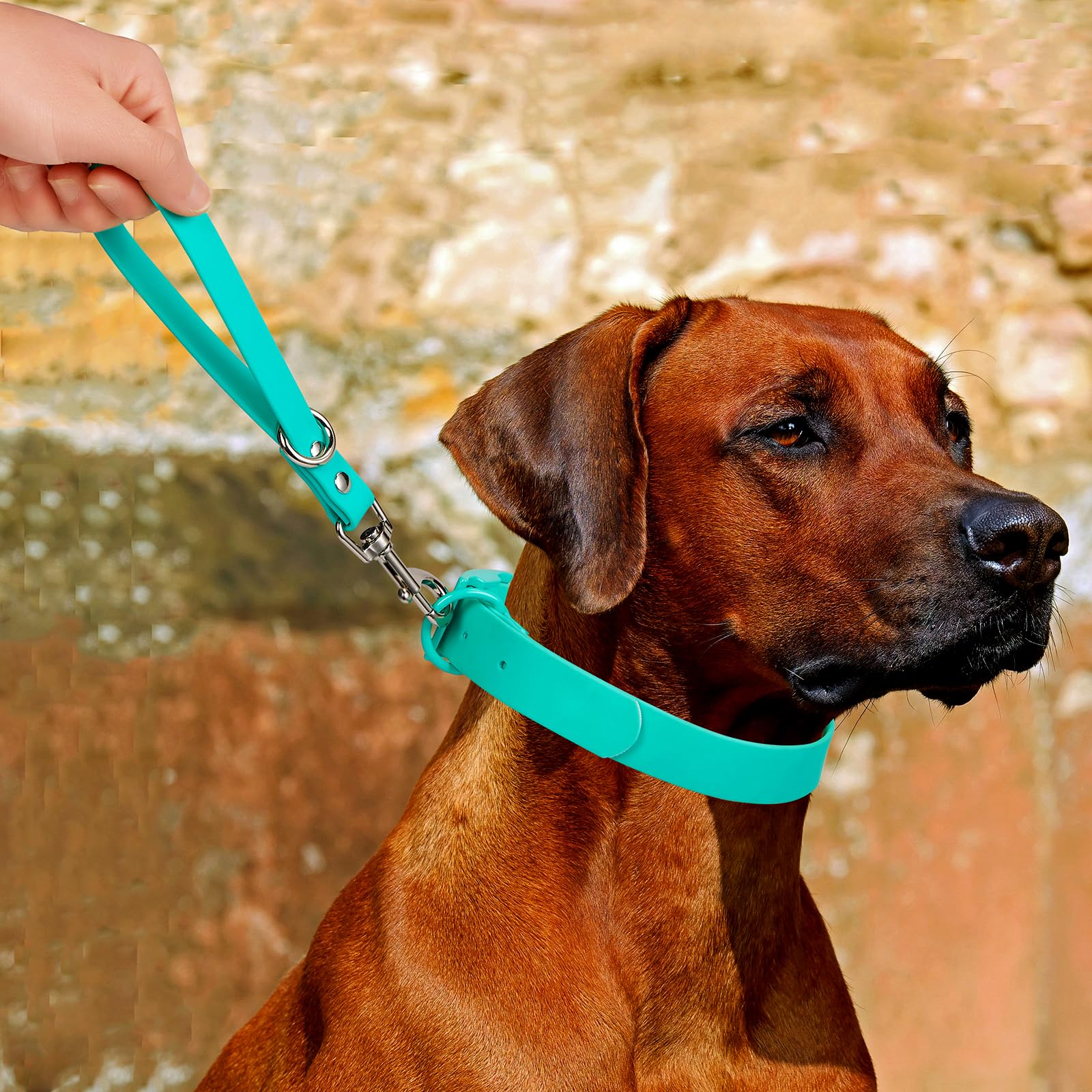 FURSDOLY hiking backup leash for sturdy outdoor walks