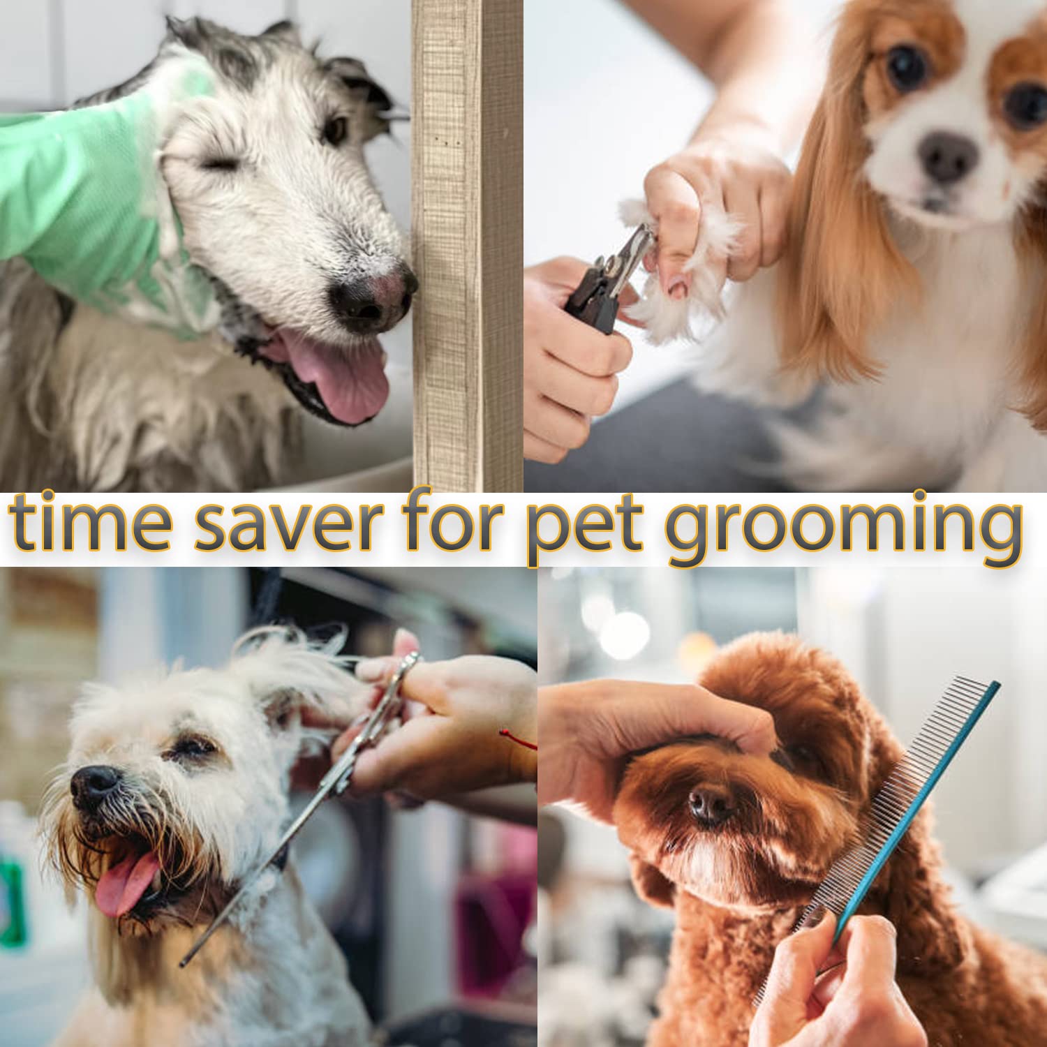 FURSDOLY grooming-session-ready setup speeds workflow and keeps dogs relaxed.
