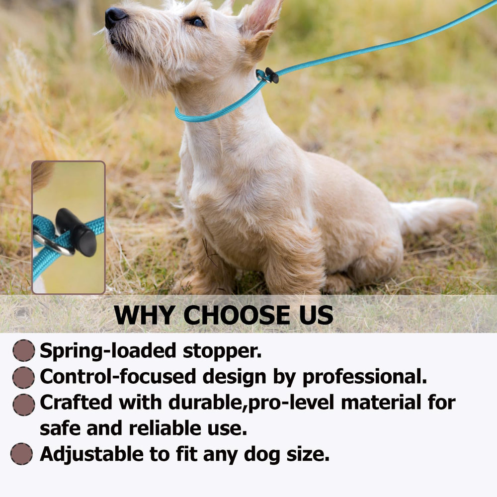 FURSDOLY Slip Lead adjustable-length-4ft supports training across small to large dogs.