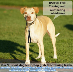 FURSDOLY training-tool leash helps reinforce obedience