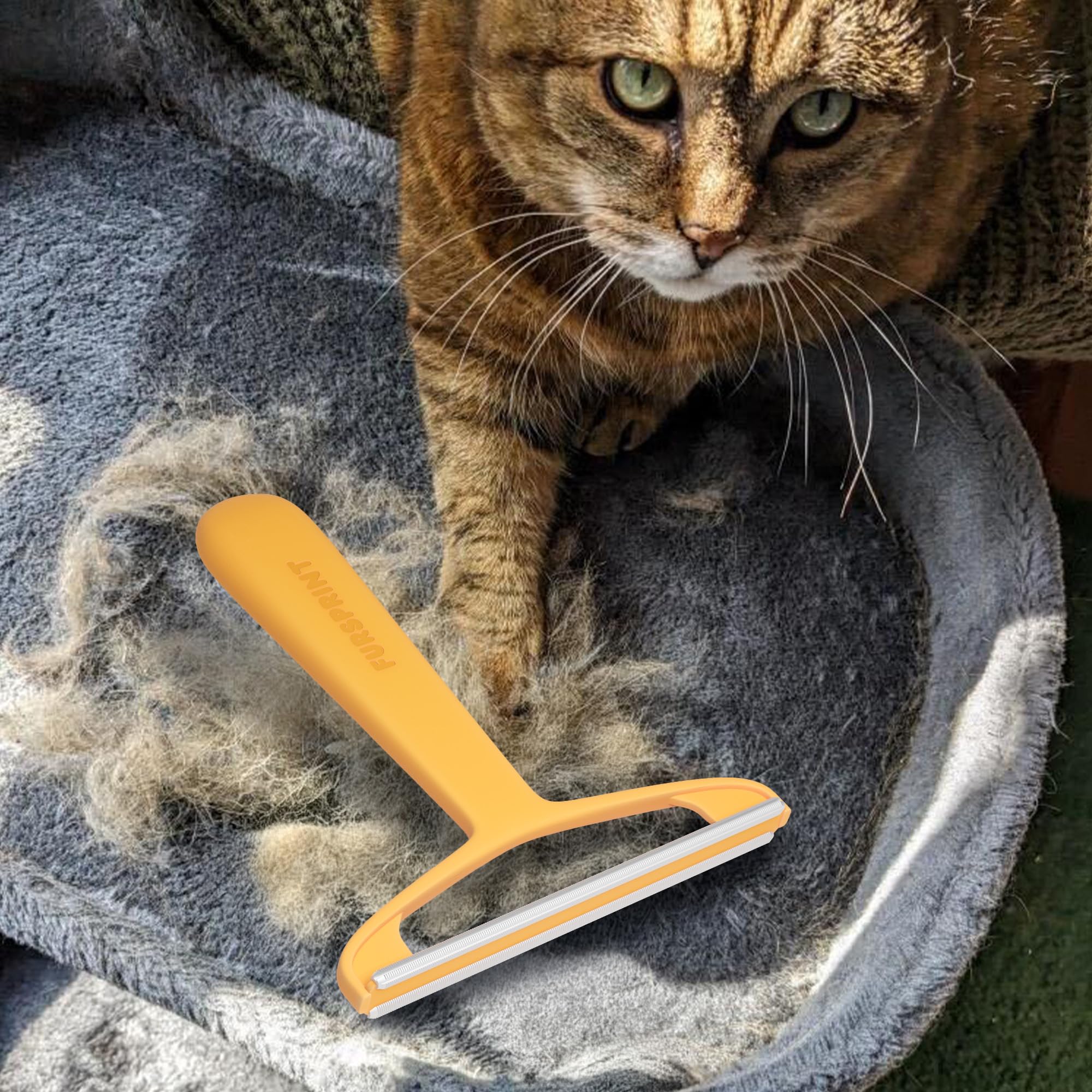Fursprint Pro pet hair remover tool on couch clears fur quickly for a pristine sofa.