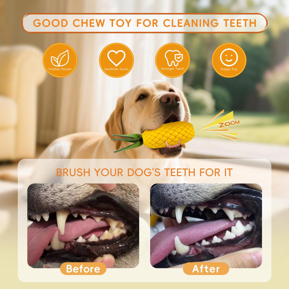 FurtasticFinds pineapple toy built-in squeaker promotes daily play and training
