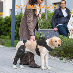 Furtent Dog ACL Brace Hind Leg with adjustable hip harness for secure stability