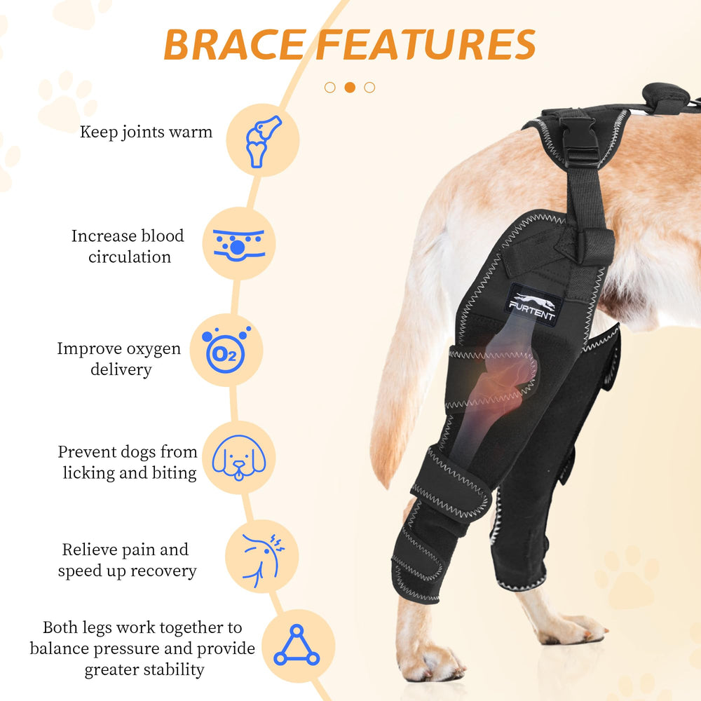 Dog wearing Furtent ACL brace during recovery for gentle protection