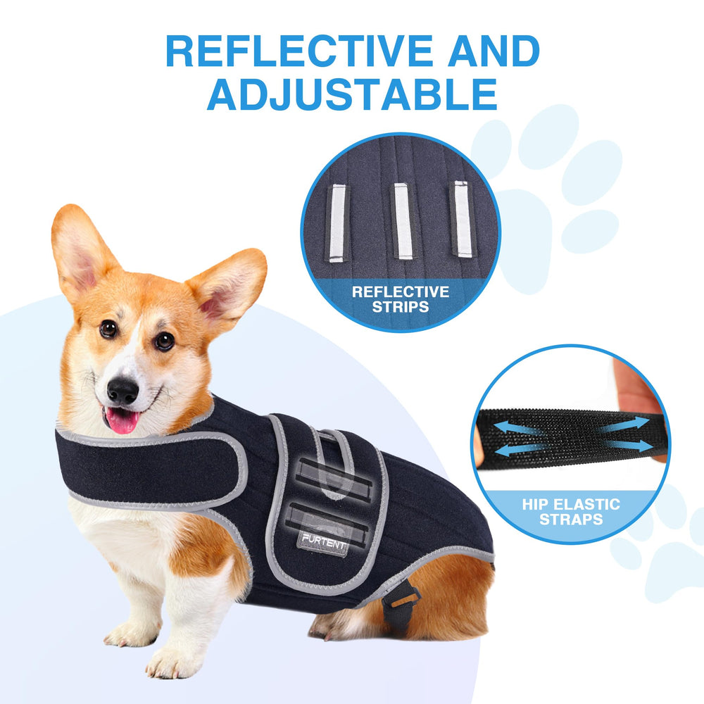 Furtent dog back brace easy-clean design suits daily use for dachshunds and corgis.