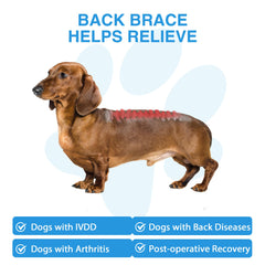 Furtent dog back brace with reflective edge improves visibility for night walks and safety.