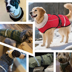 FURTIME adjustable buckle strap enables easy on off for quick fitting