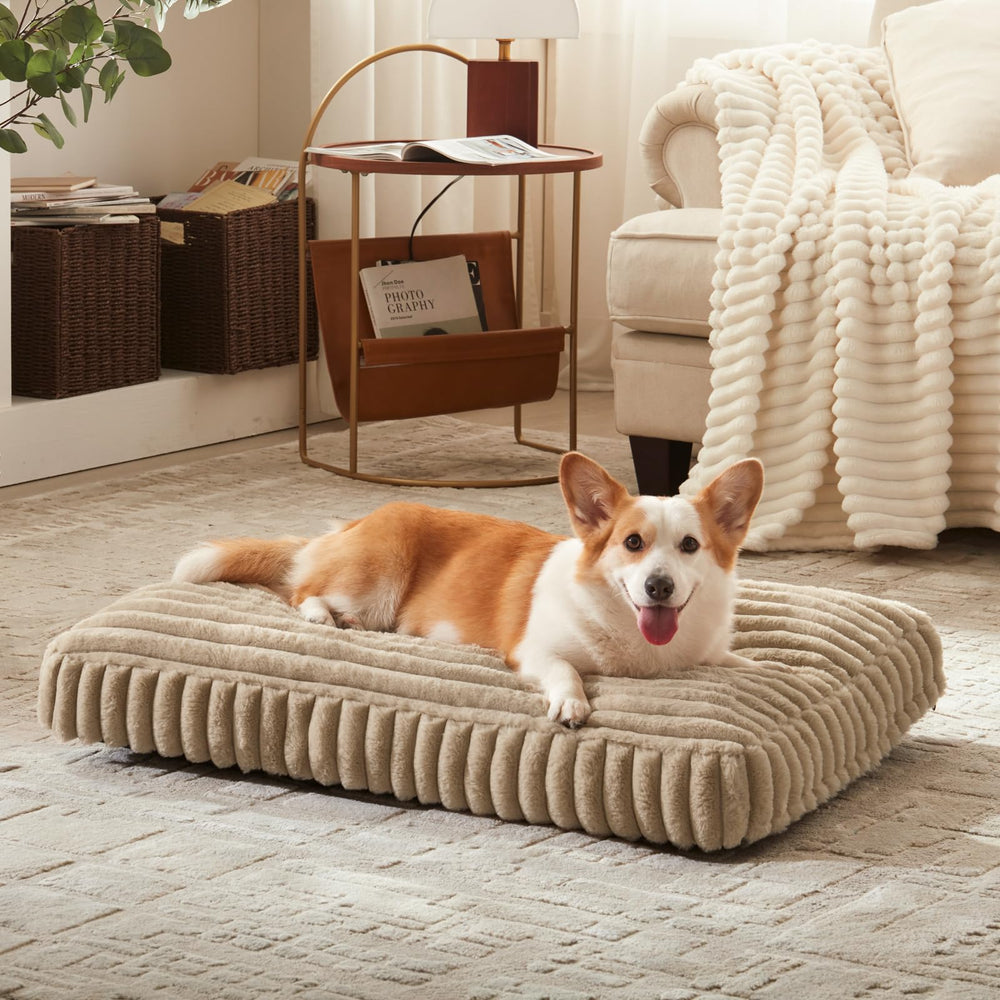 FURTIME 35x23x4 size label highlights versatile sizing for large dogs