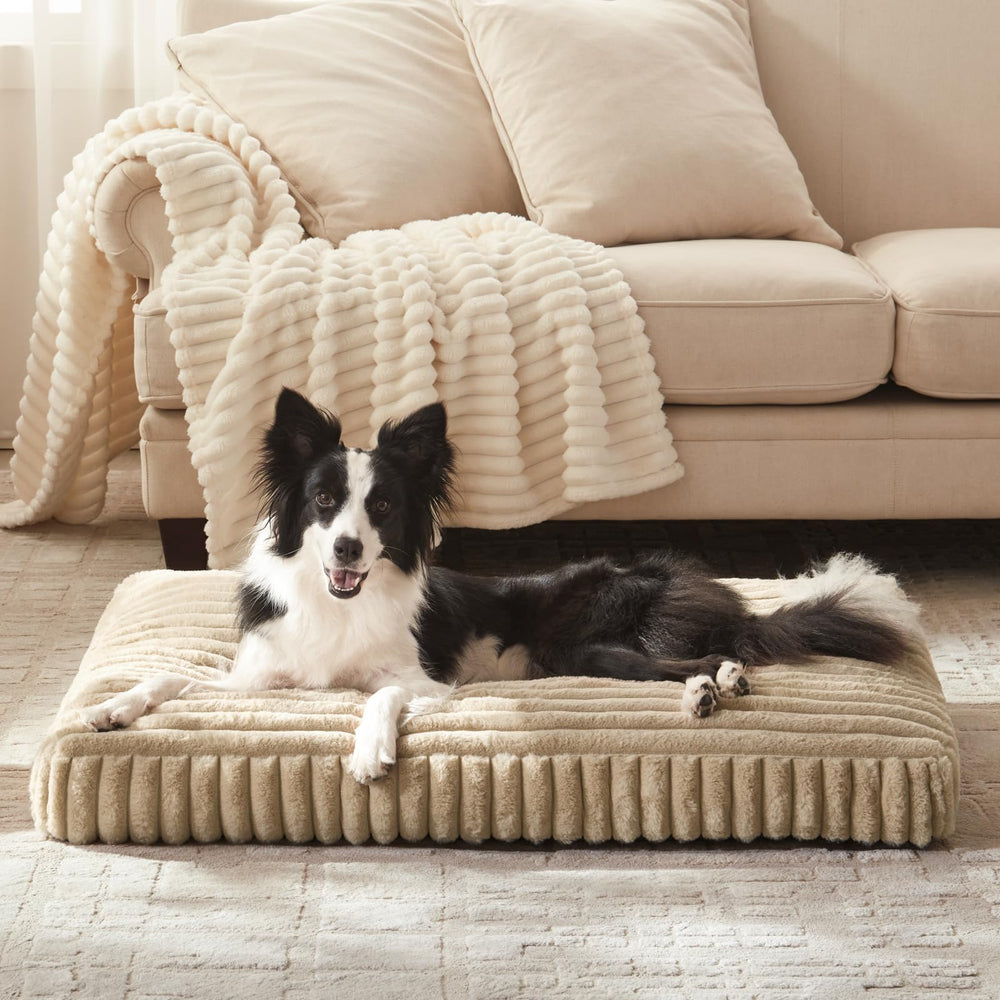 FURTIME large dog bed in living room demonstrates stylish, cozy spot for relaxation