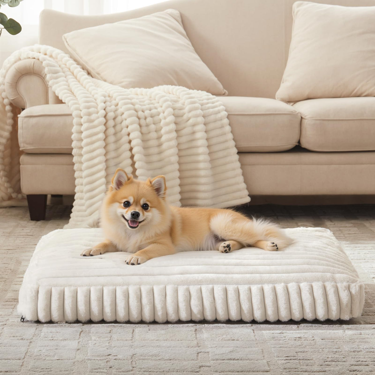 FURTIME small dog bed cream cover shows plush faux fur for cozy lounging.