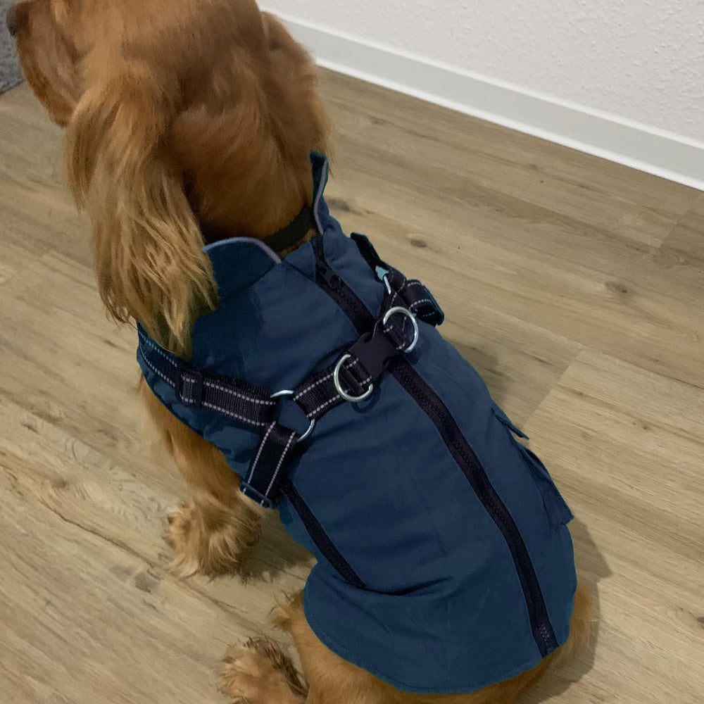 FURTIME waterproof dog jacket back view protects against rain and snow.