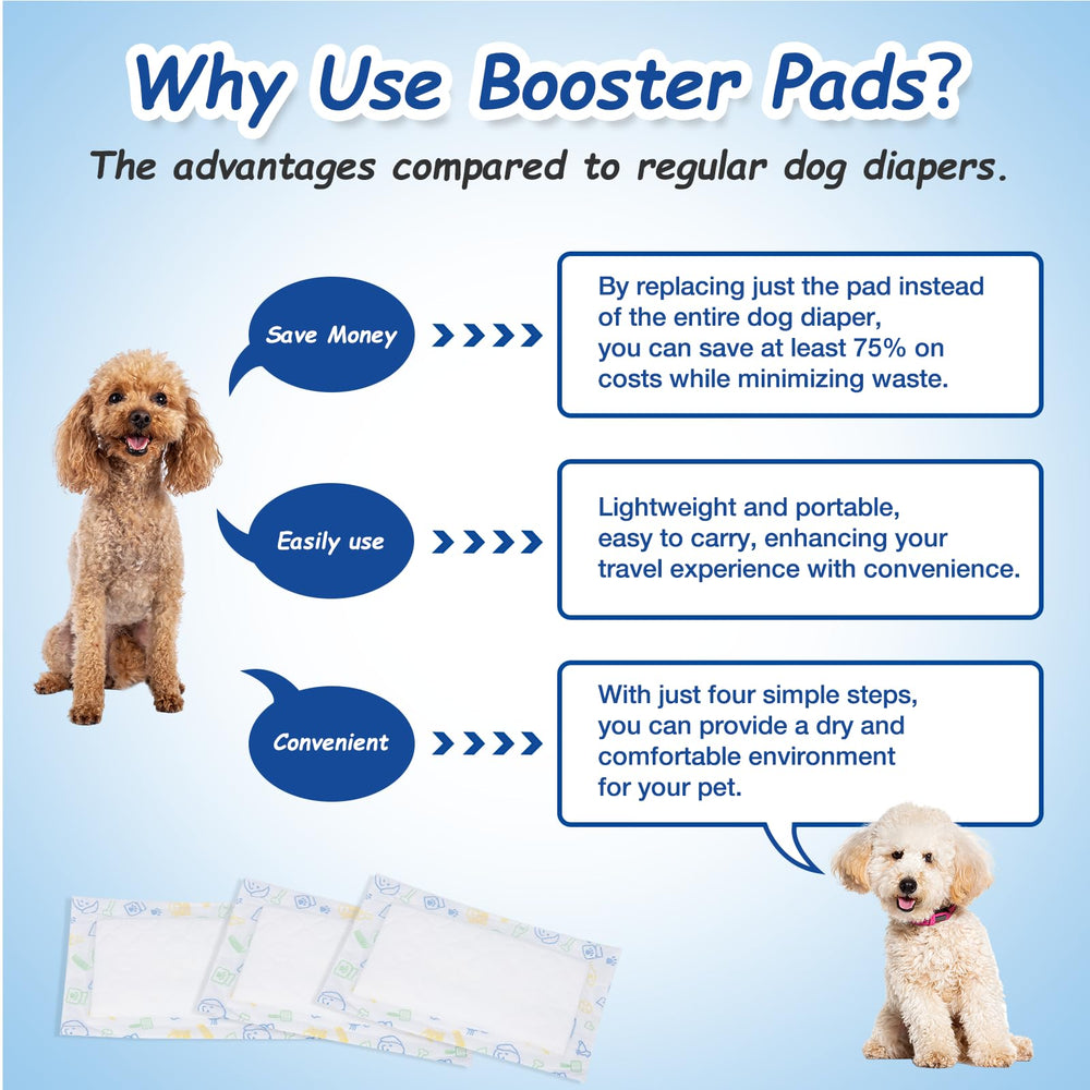 FurVeluxia liner use-cases travel and home for on-the-go pet hygiene.