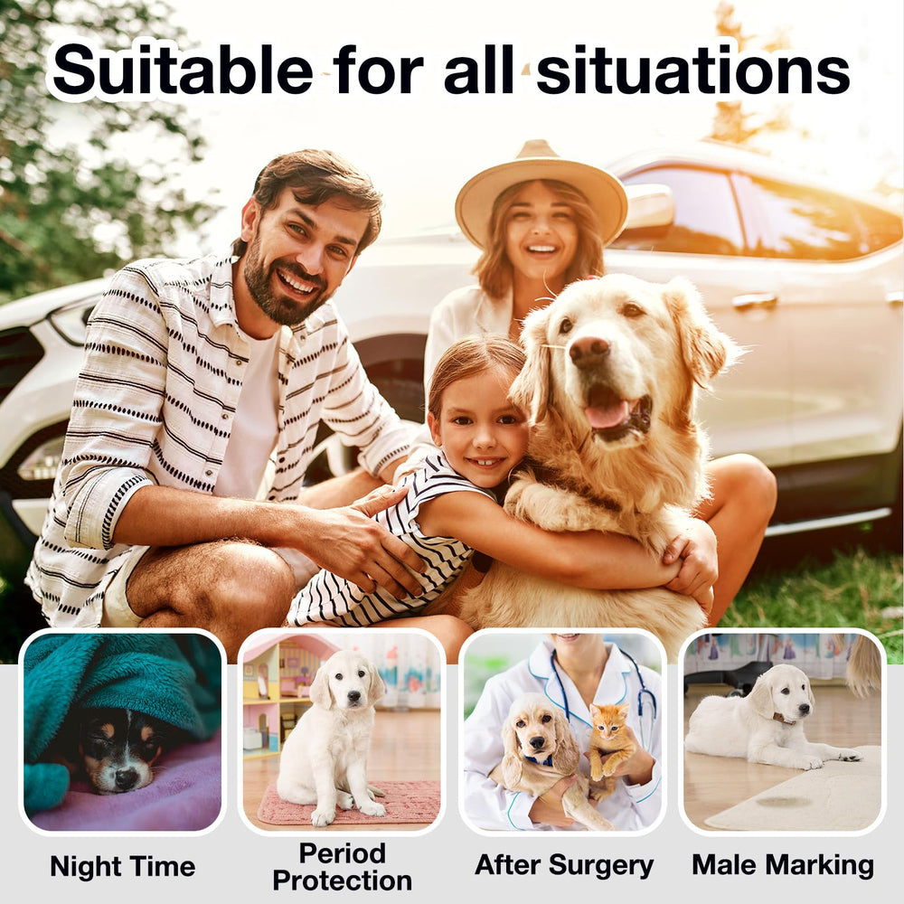 FurVeluxia dog diaper liners easy-change-design shot illustrating quick replacement.