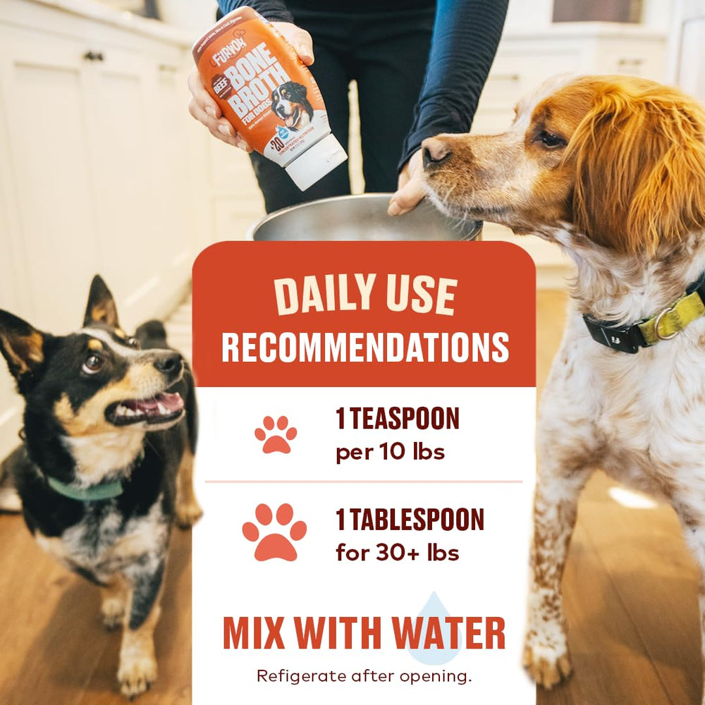 Furvor beef bone broth for dogs dog bowl setup ready-to-serve meal enhancer.