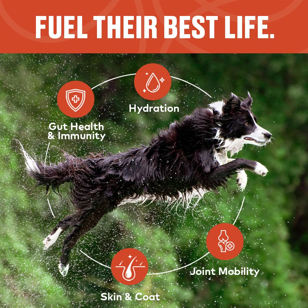 Furvor beef bone broth for dogs 30‑serving bottle supports convenient daily use.