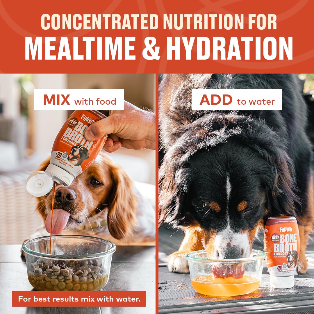Furvor beef bone broth for dogs hydration helper encourages water intake.