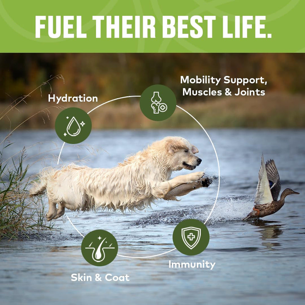 Furvor Mobility Bone Broth ingredients section highlights amino acids