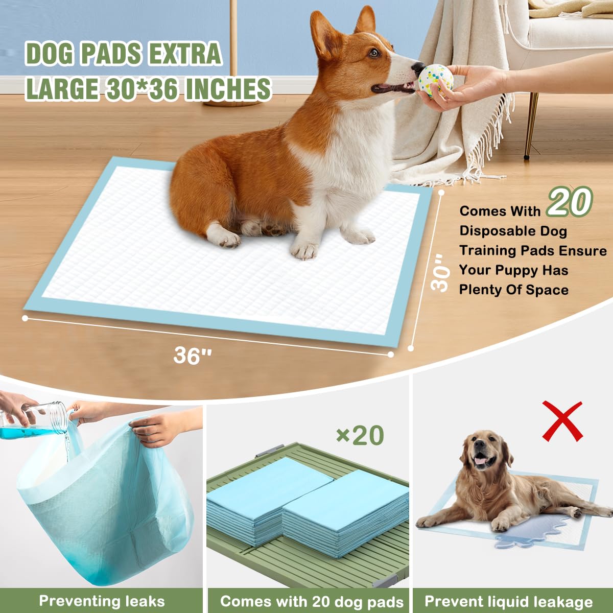 FUSBUNTY trainer-friendly floor protection tray anchors to prevent mess