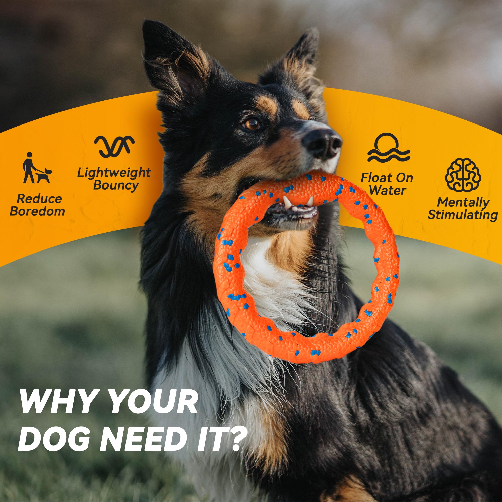 FUSOTO dog ring toy suitable for medium to large breed training sessions.